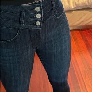 PILCRO Size 25 HighRise Skinny ( Anthropologie)